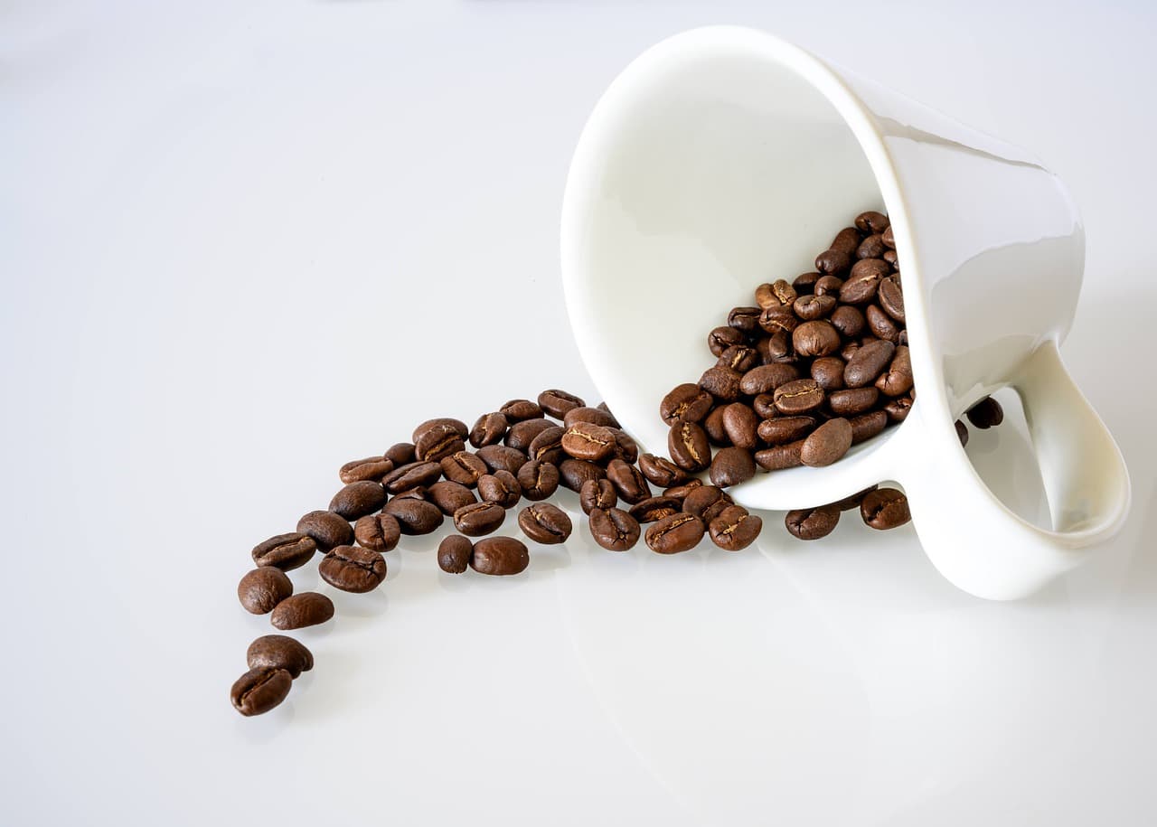 coffee, coffee beans, coffee cup, cup, mug, white cup, caffeine, roasted coffee beans, coffee seeds