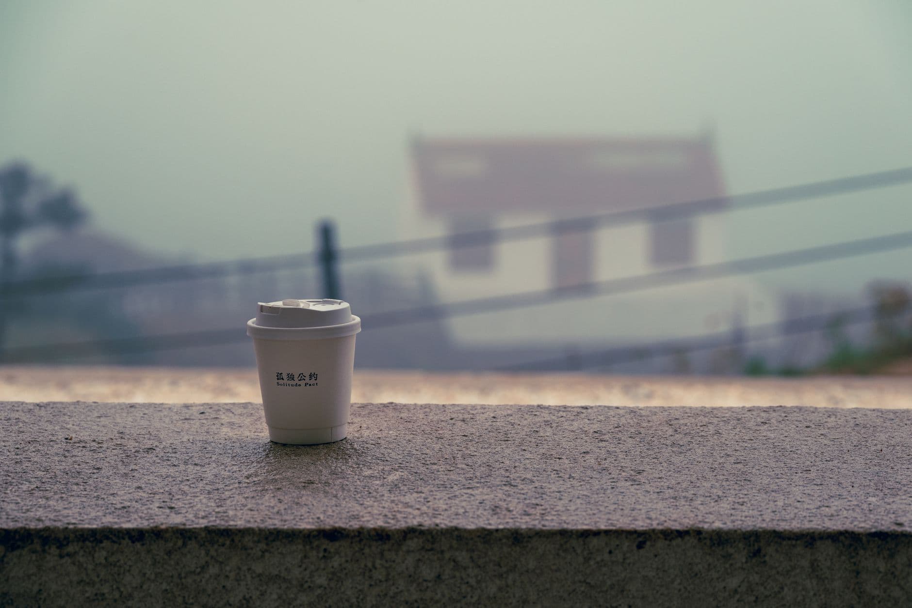A solitary coffee cup with a serene temple backdrop enveloped in mist, evoking calm and contemplation.