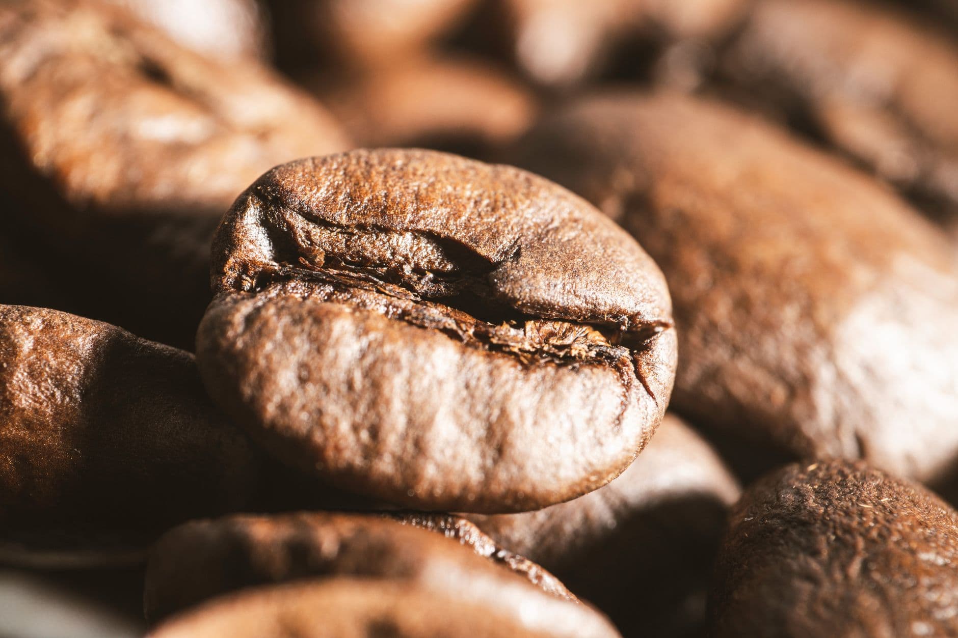 Detailed close-up image of roasted coffee beans highlighting texture and color.